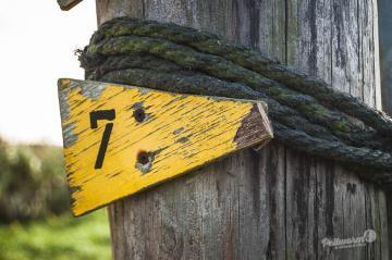 Schild Nr. 7 in Quietschgelb auf Pellworm