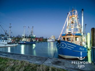 Winterstimmung im Hafen von Tammensiel