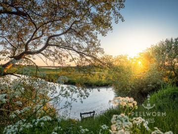 Die Landschaft am südlichen Ende des Kaydeich auf Pellworm in der Abendsonne.